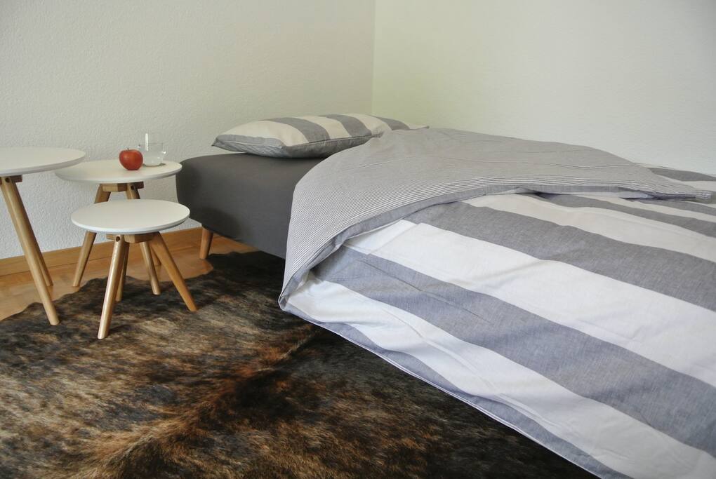 Schlafcouch im Wohnzimmer