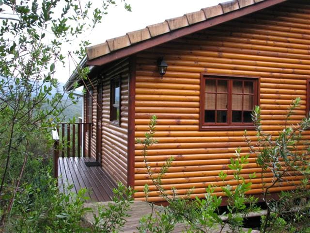 Wild Olive Forest Cottage 2 Bedrooms 1 Bathroom Chalet Rheenendal Knysna South Africa
