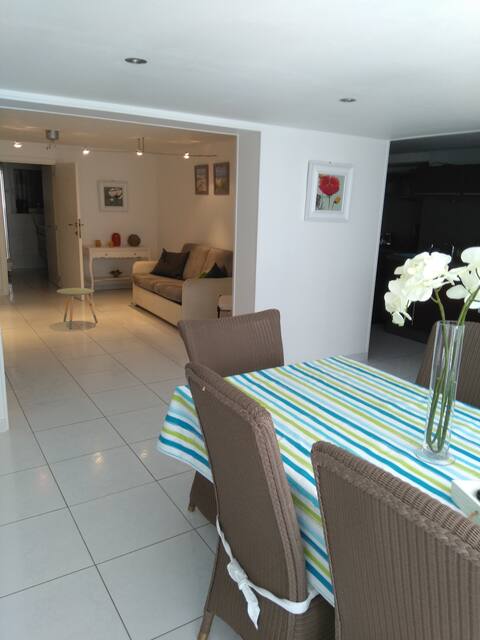 Appartement centre de La Panne.