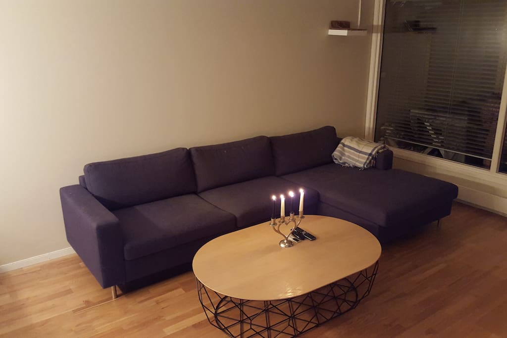Spacious living room with big couch that folds into a bed for two extra people.