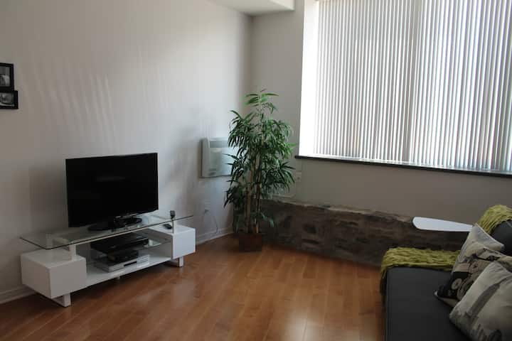 Splendide Loft Vieux-québec - Laval University