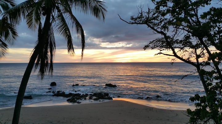 Home in Rincón · ★4.85 · 1 bedroom · 2 beds · 1 bath
