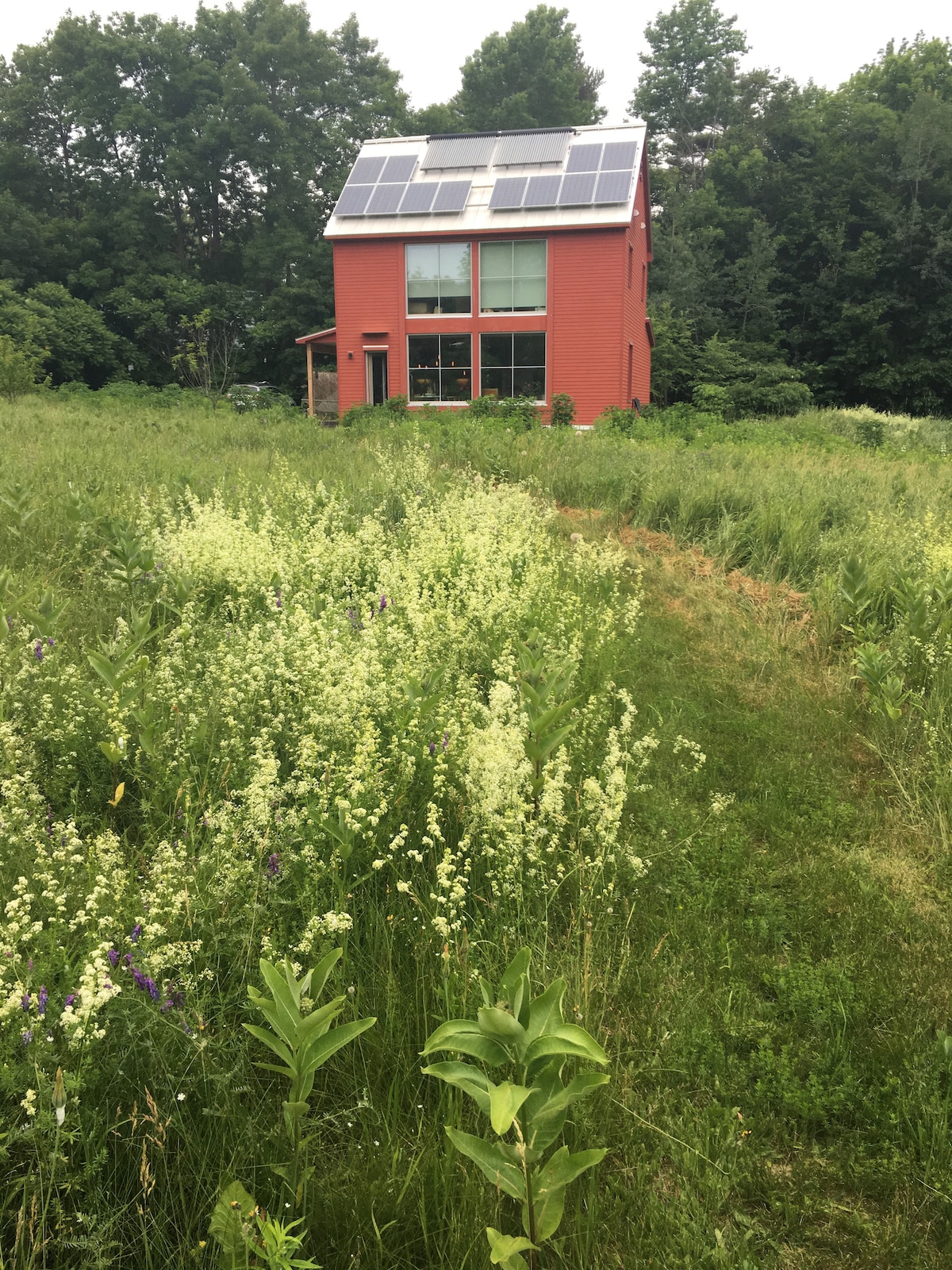 A vibrant red house is set amidst a lush field of wildflowers and tall grass. Solar panels are installed on the roof, and large windows provide views of the surrounding nature. The pathway leading to the house is framed by greenery, enhancing the sense of privacy.