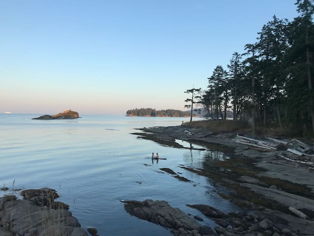 SALT Oceanfront Cottage! gallery image 4