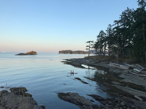 SALT Oceanfront Cottage!