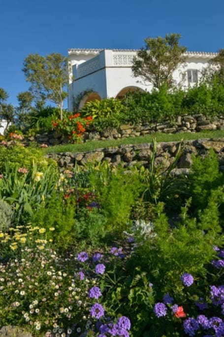 View of the Garden Apartment