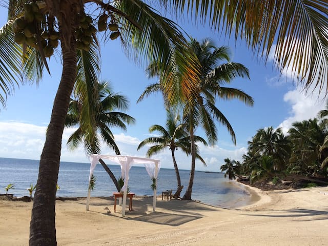 Island Time! Free kayaks-bikes-paddleboards-WiFi!