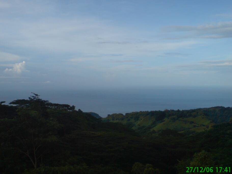 The view