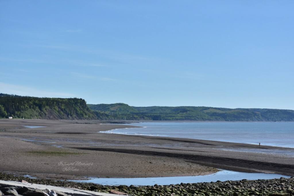 Pic of Spencer's Island - we are just past the second dark rocks!