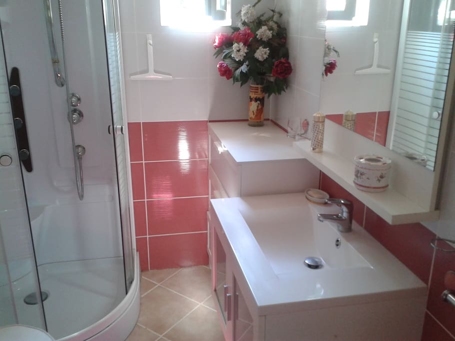 salle d'eau avec toilette