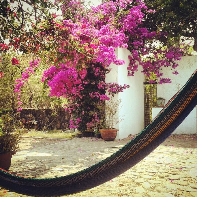 la pérgola