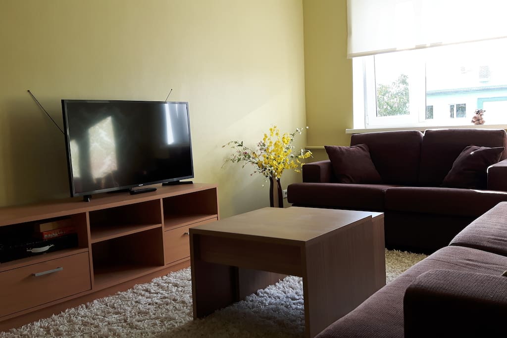 Livingroom or second bedroom
