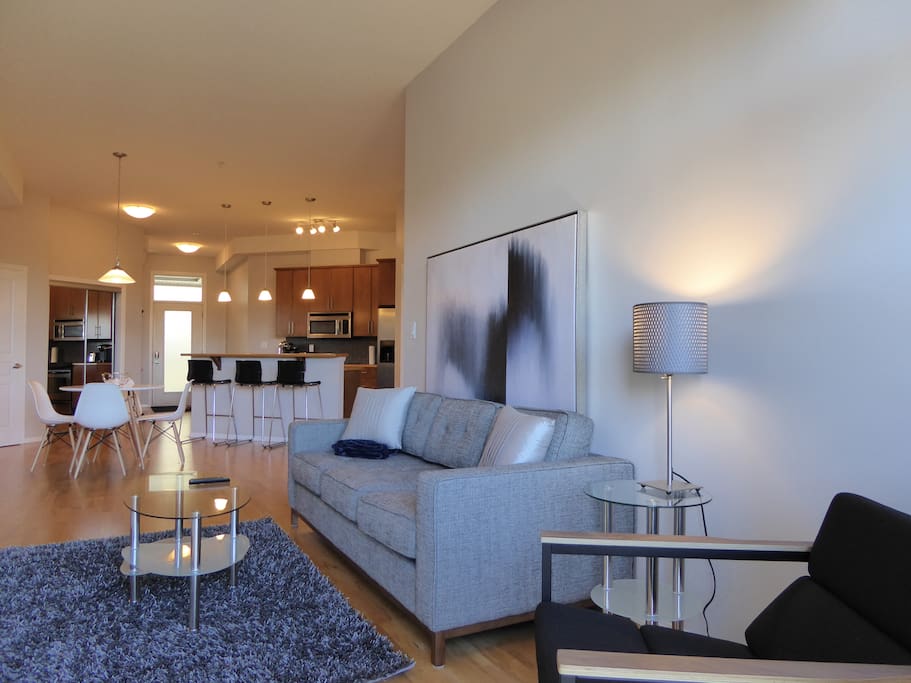 Open kitchen and living room with 10ft ceilings