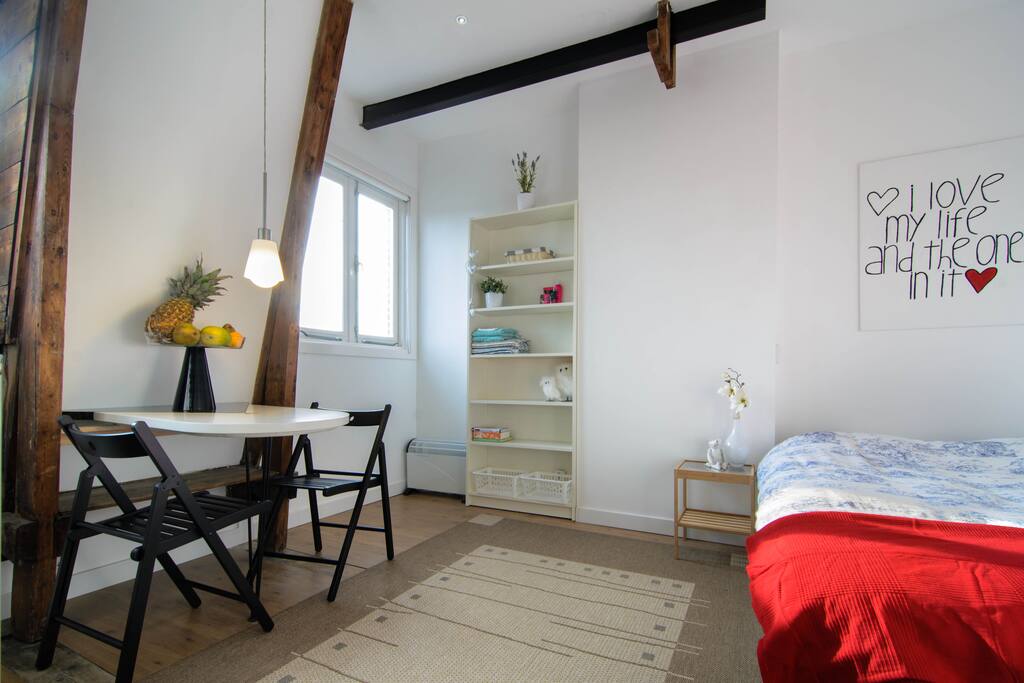 New Cozy And Private Amsterdam Studio For Two Apartments