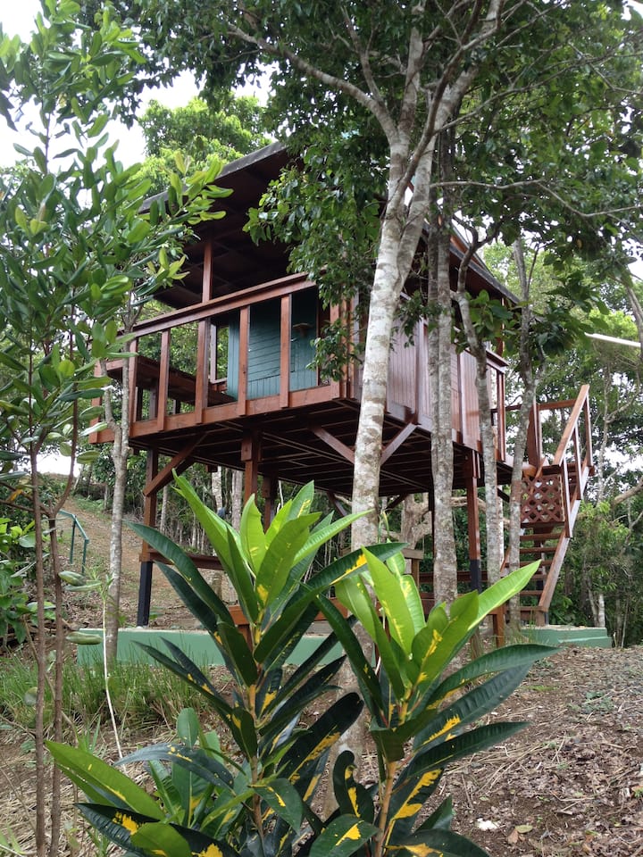 Cayey Locações por temporada e Cayey, Porto Rico Airbnb