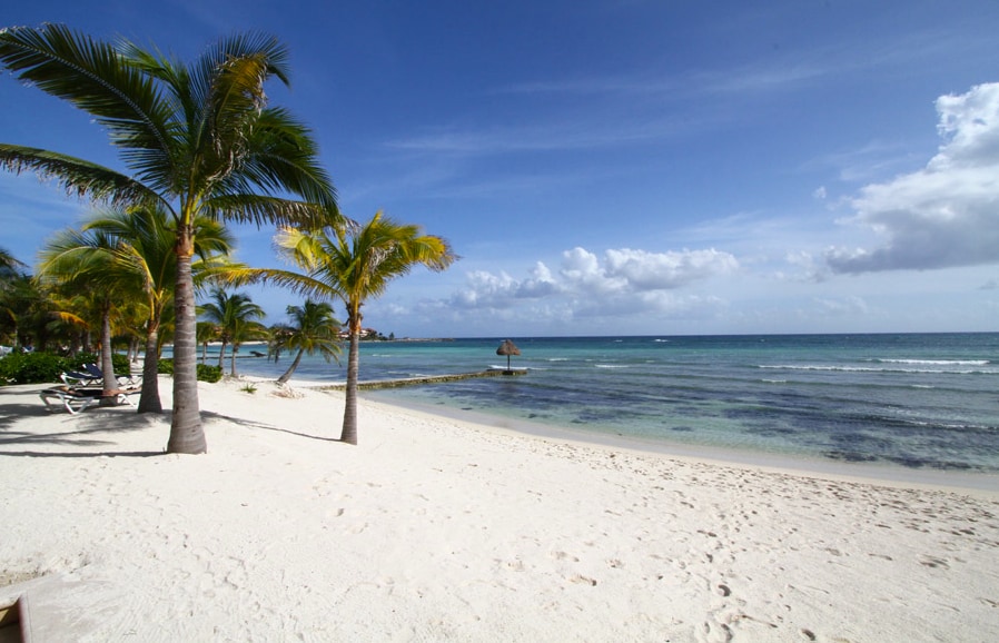 A serene beach scene captures the soft white sand bordering clear blue waters. Lush palm trees frame the landscape, swaying gently in the breeze. In the distance, a thatched gazebo is visible on the water's edge, offering a tranquil spot for relaxation.