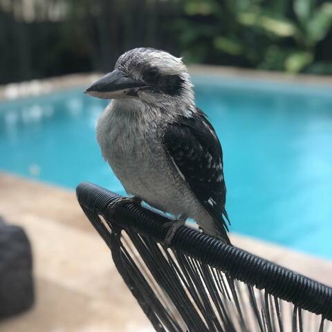 Peaceful Oasis in the Springs gallery image 5