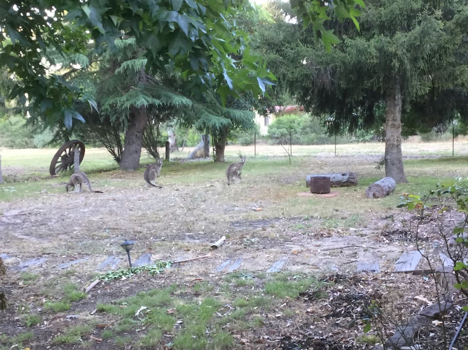 regular visitors..