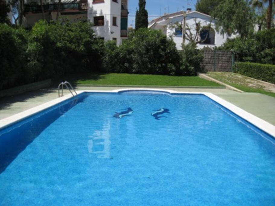 Pool and garden