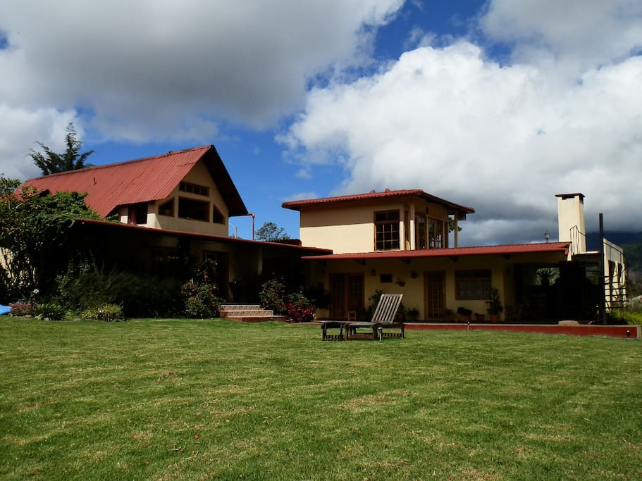 Back yard