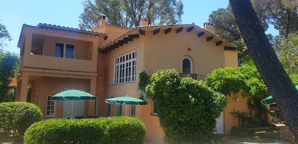 Unique house and garden at 45 m. of the beach. BE. gallery image 3