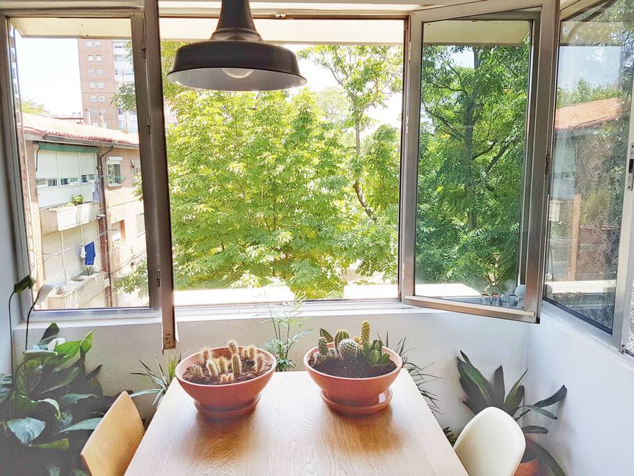 Living room views