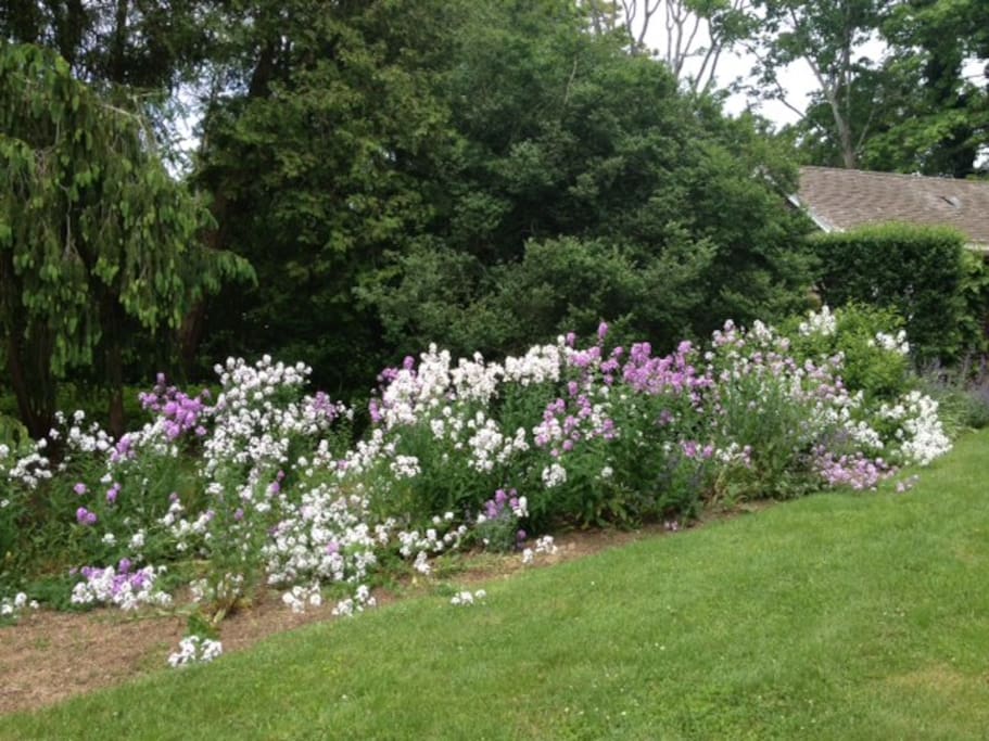 Exterior and surrounding flowers.