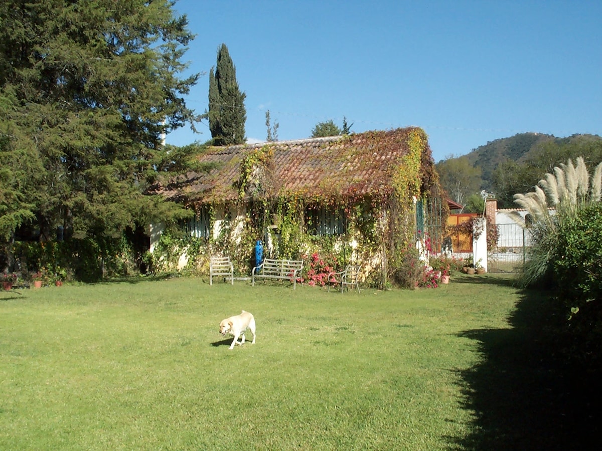 A small cottage covered with lush greenery and vibrant flowers is set on a spacious lawn. Two benches are positioned under the shade of trees. A dog is seen playing on the grass, and the backdrop features rolling hills under a clear blue sky.