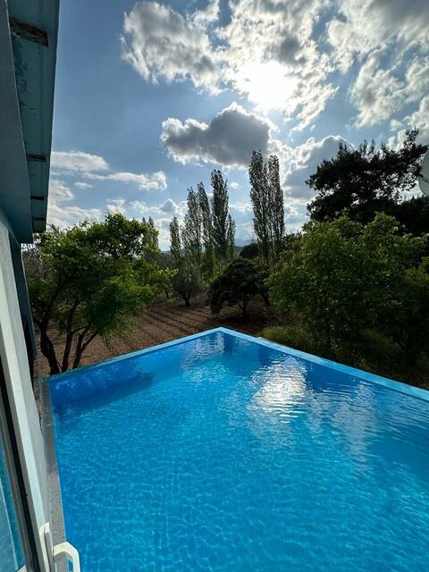 Chalet with natural pool