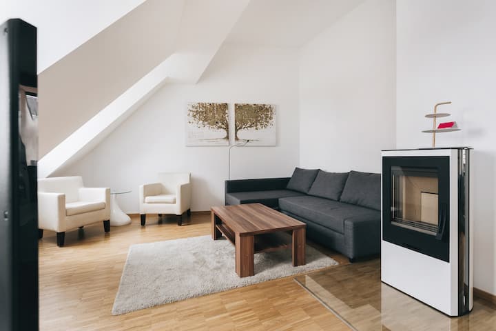 Wohnzimmer mit Schlafcouch / livingroom with sleeping couch