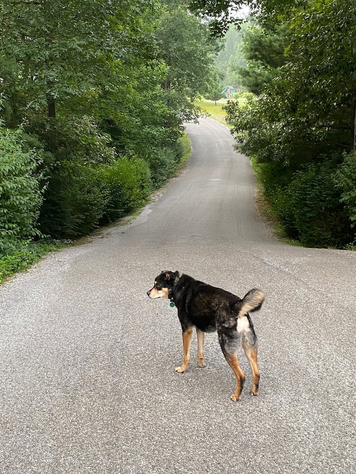 تم الإغلاق صورة 1