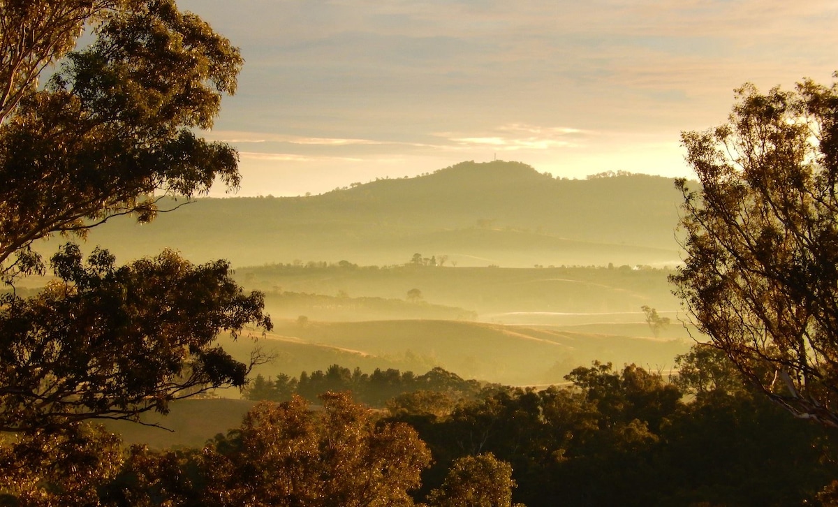 A serene landscape captures rolling hills and valleys under a soft morning light. Layers of mist create depth, while trees frame the scene, enhancing the sense of tranquility and connection with nature.