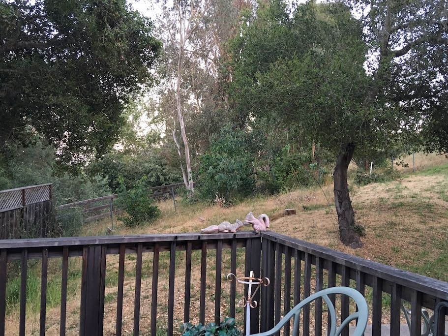 Country Living