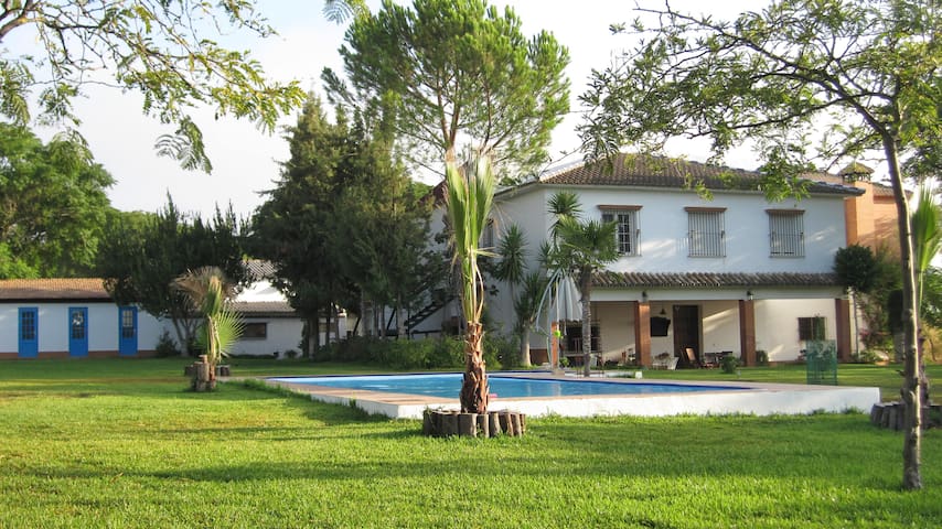 Finca Cerros Bravo de Doñana