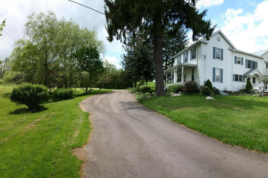 Driveway view of farm house.