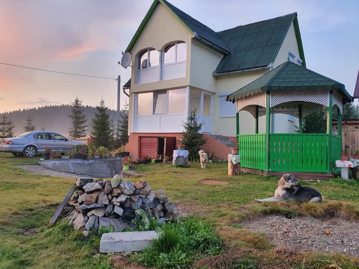 A two-story house is depicted, featuring large windows and a green roof. A gazebo with a green railing is visible in the foreground. A stone fire pit is surrounded by a grassy area, with two trees and a gravel path enhancing the peaceful outdoor setting.