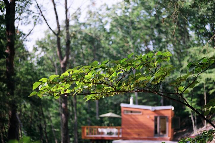 Lostrivermodern Cabins For Rent In Lost City West Virginia