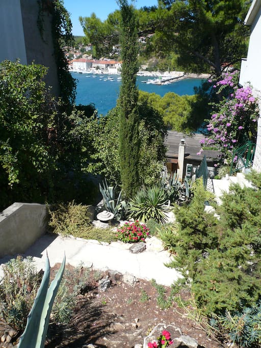 House surrounding