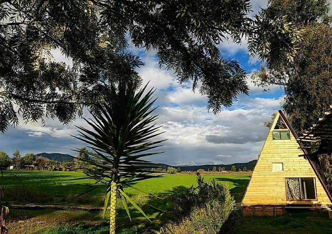 The image captures a rustic cabin with a sloped roof situated amidst lush green fields. Flanking the cabin are tall trees and a distinct palm, while the expansive sky features soft clouds. The scenery emphasizes a tranquil natural environment.