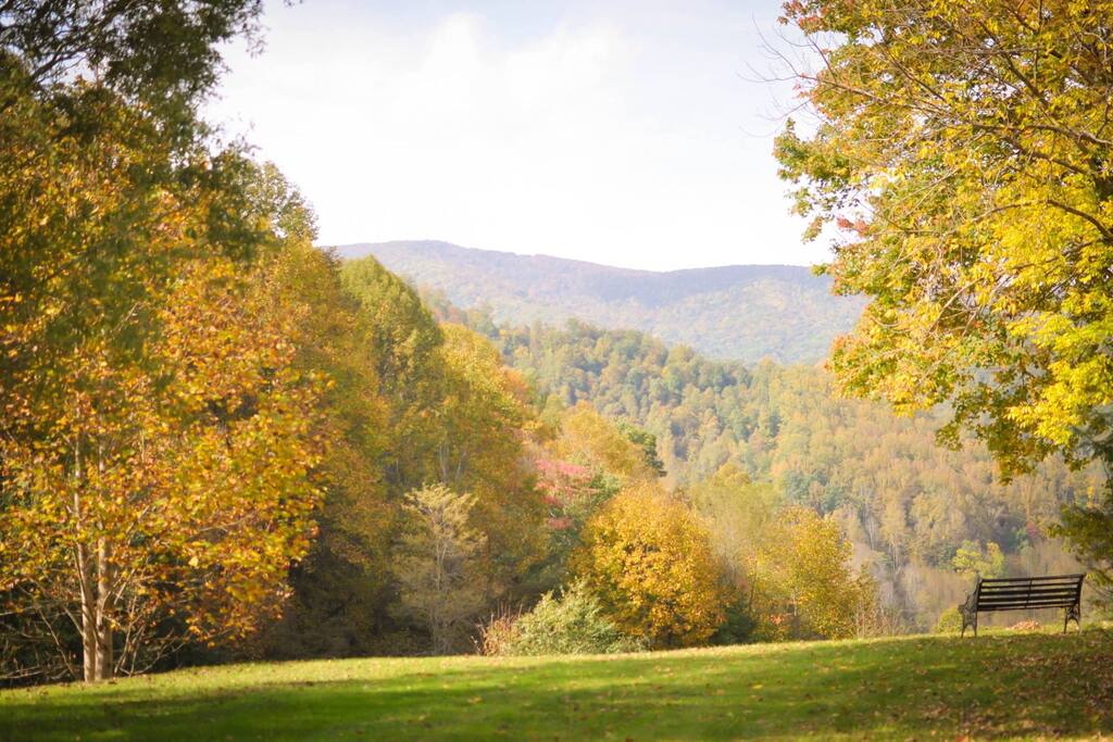 Autumn view from the deck