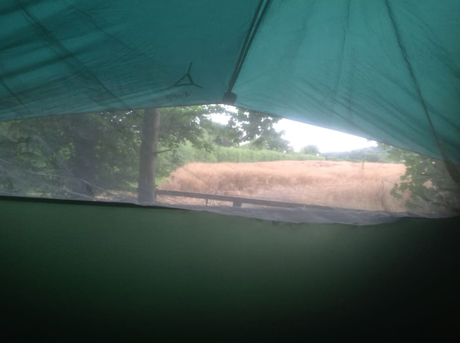 View from the tent