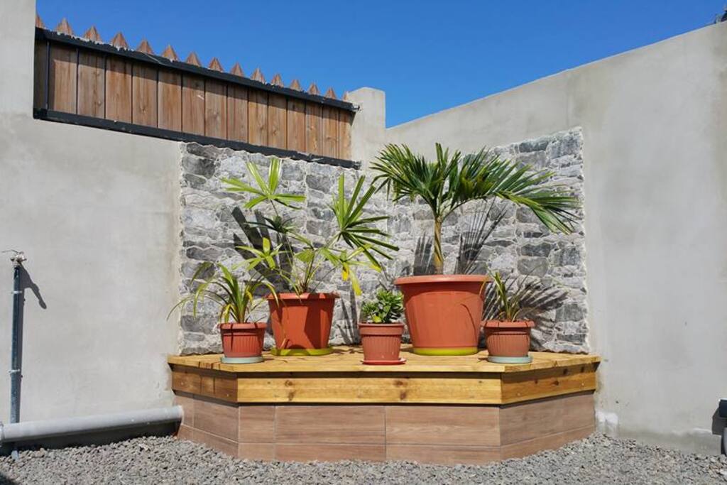 Espace plante