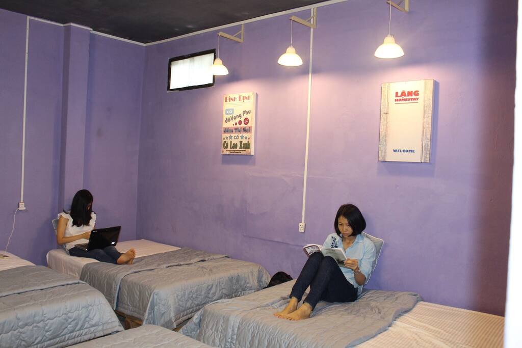 The Purple Dorm