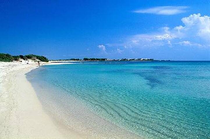 RESERVED FOR LARGE GROUPS: Farm with swimming pool gallery image 3