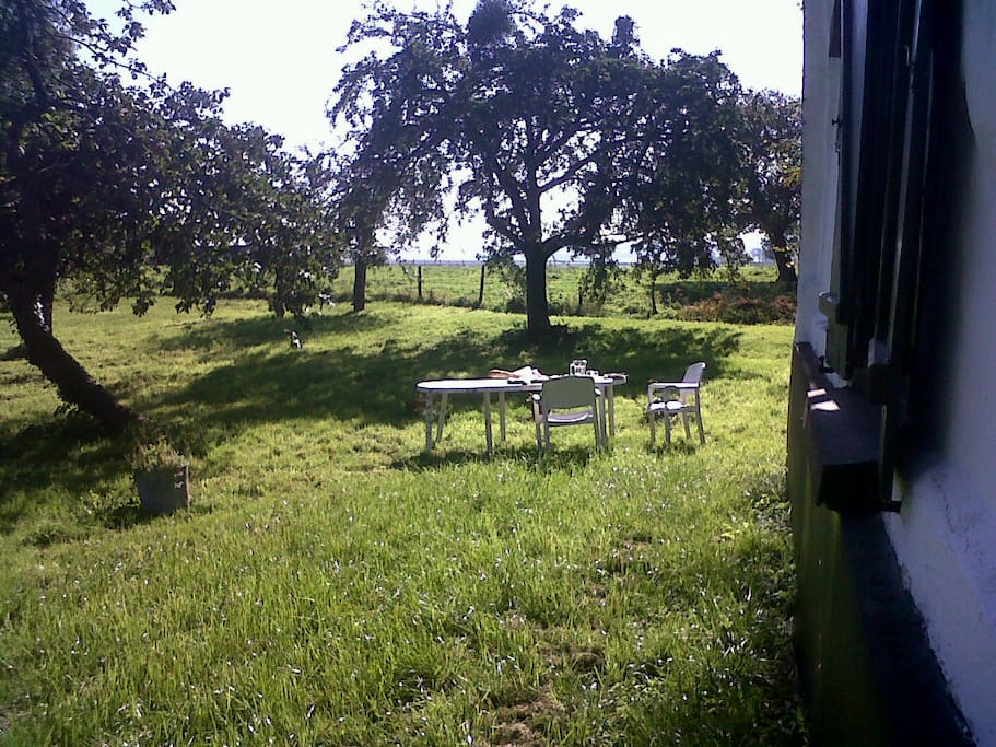 Jardin