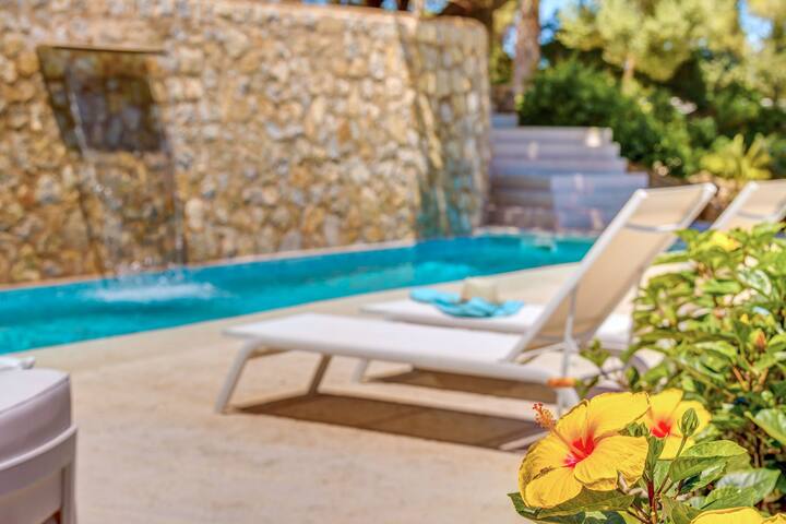 Sos Fuyes gallery image 4