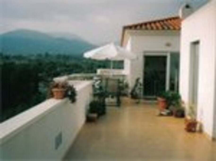 Roof terrace breakfast served here