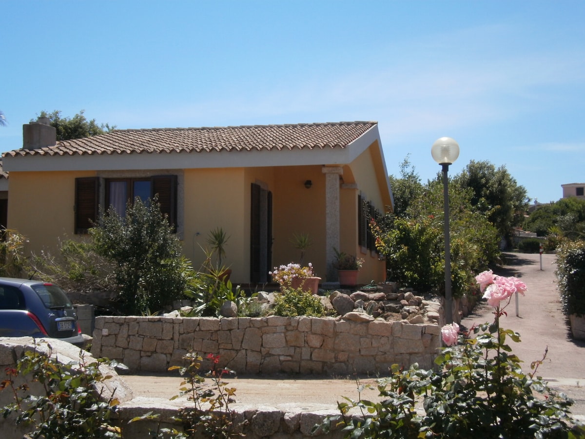 A single-story house is depicted, featuring a sloped roof and decorative stone accents. Lush greenery surrounds the entrance, complemented by flowering plants. A path leads to the driveway, where a blue car is parked. A lamppost stands nearby, adding a charming detail to the setting.