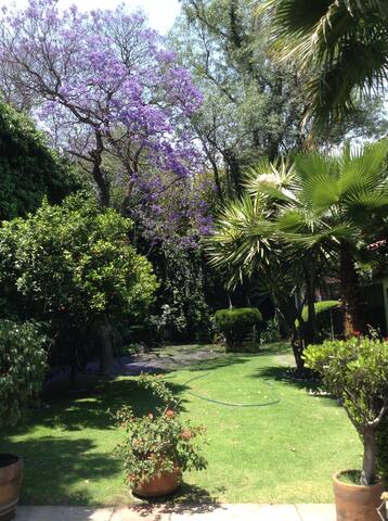 Beautiful House in Chimalistac/Amazing Garden