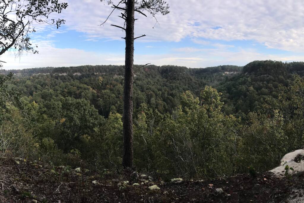 Overlook to PGMRP